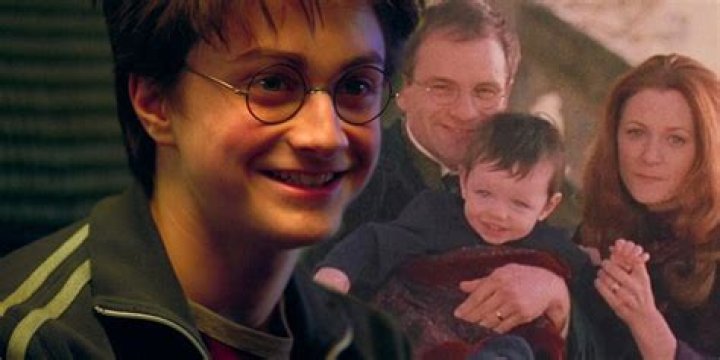 Who is the richest wizard family in Harry Potter?