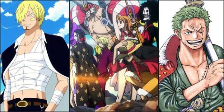 Who is the straw hats vice captain?