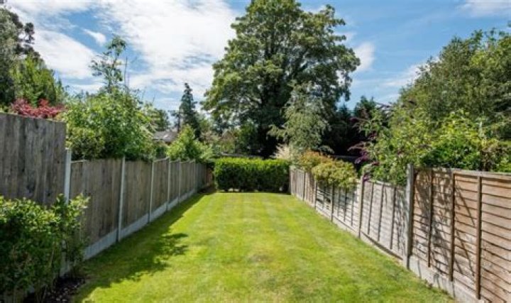Who owns boundary fence at bottom of garden?