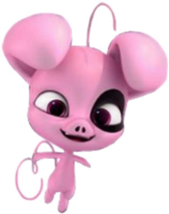 Who owns the pig miraculous?