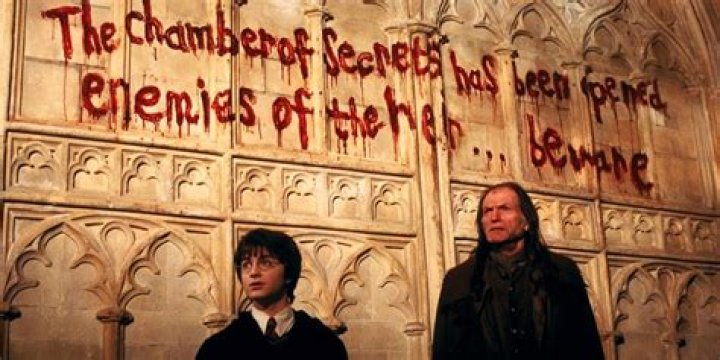 Who petrified everyone in Chamber of Secrets?