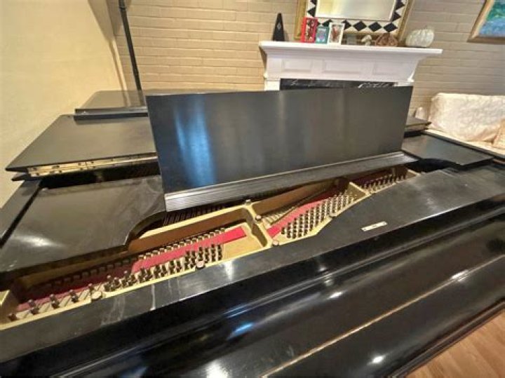 Who sang grand piano?