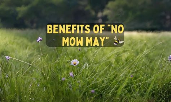 Who started no mow May movement?