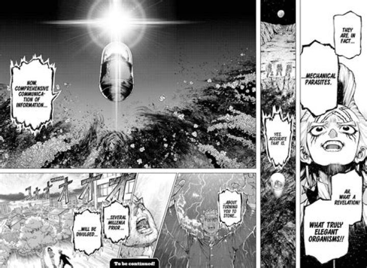 Who started the petrification?