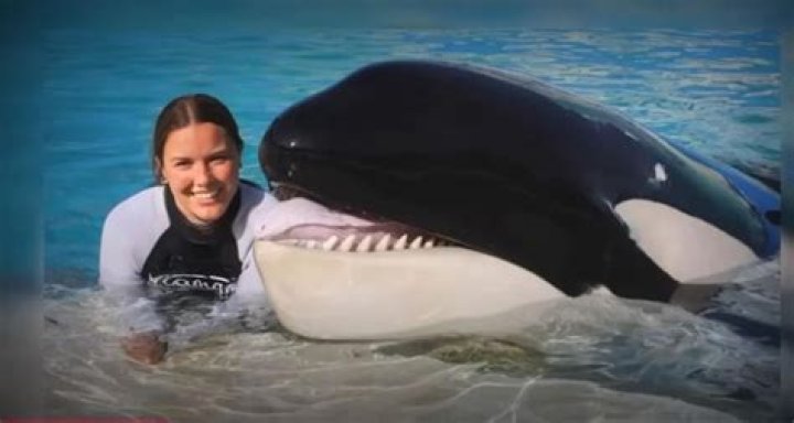 Who was Jessica DiLaurentis protecting?