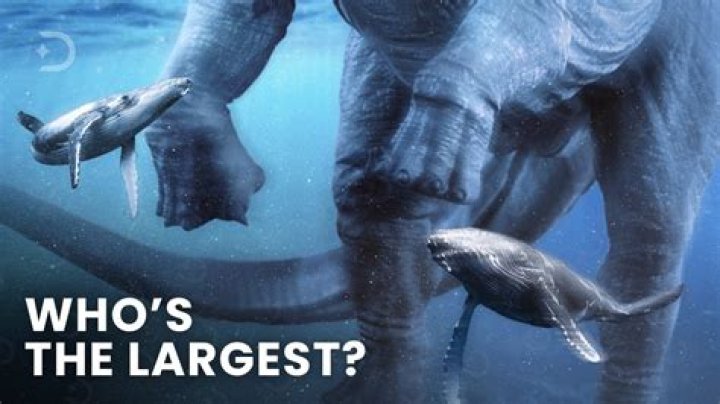 Who was the biggest giant in mythology?