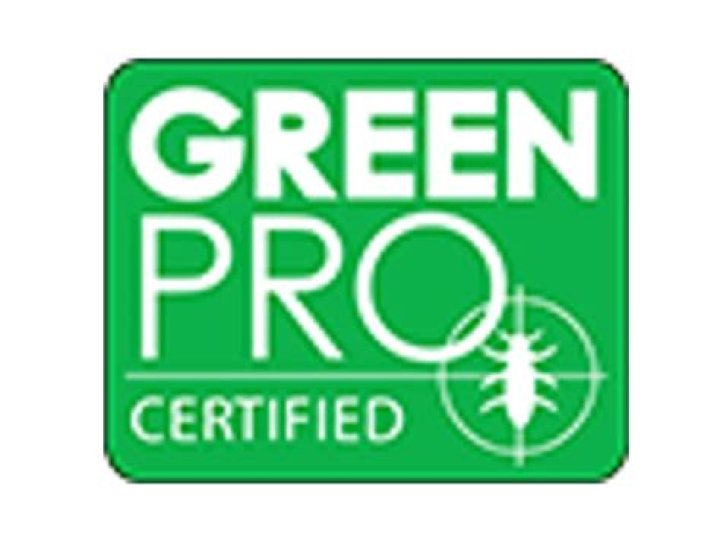 Why am I finding little worms in my house?