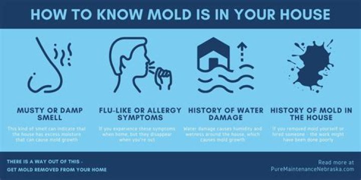 Why am I getting mold in my house?