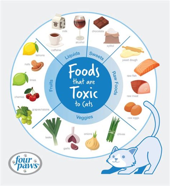 Why are gar eggs toxic?