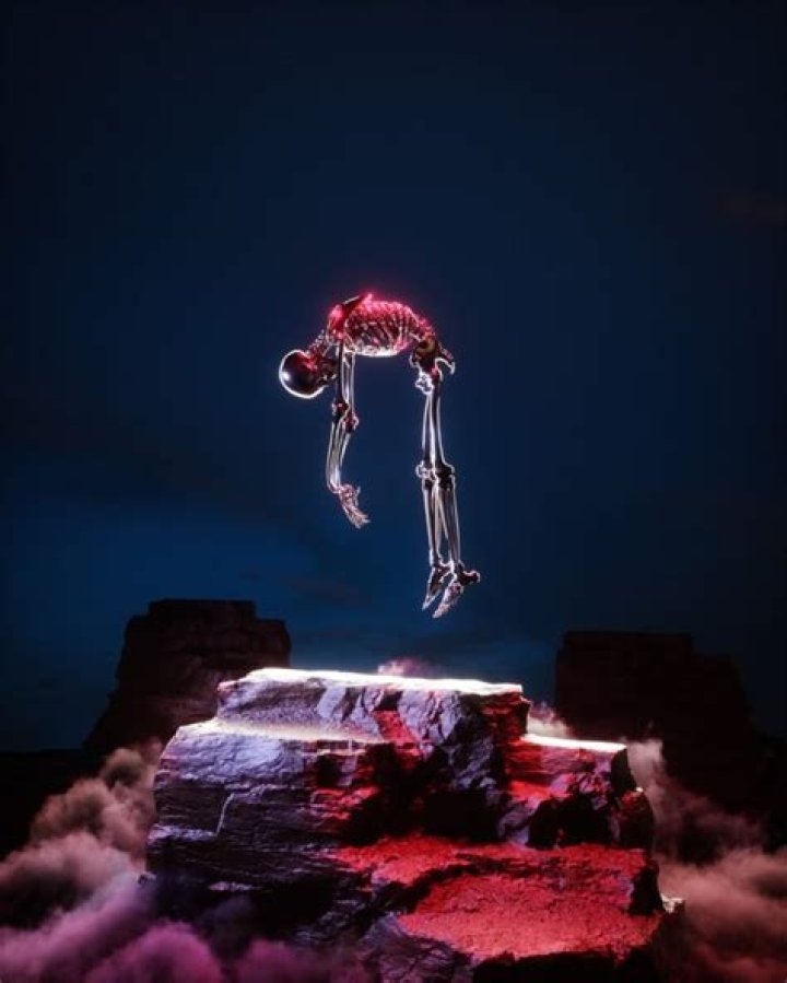 Why are NFT pictures so expensive?