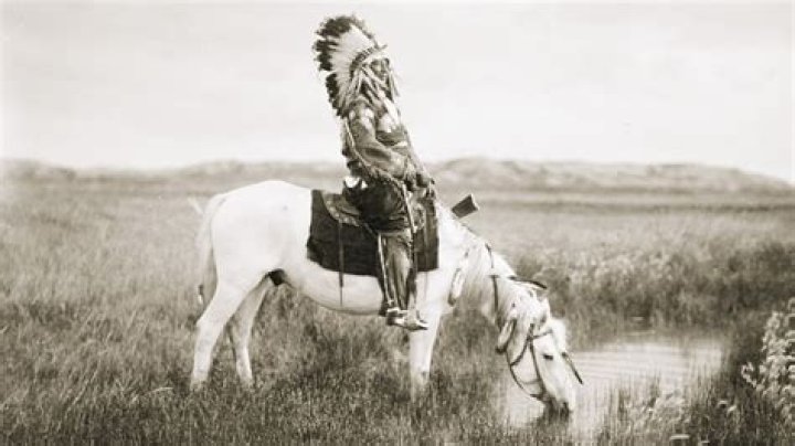 Why are Plains Indians so tall?