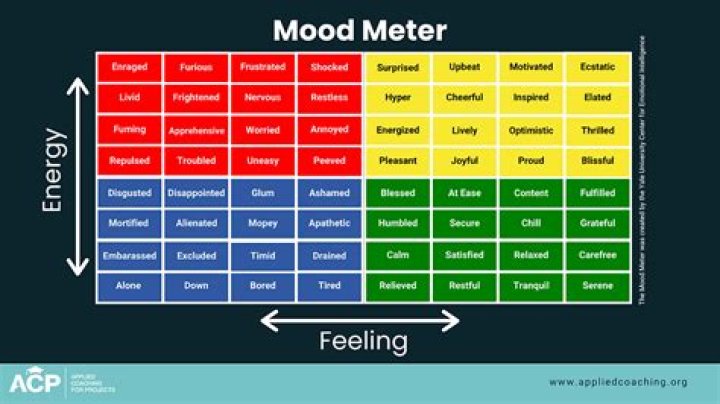 Why are Profile of Mood States important?