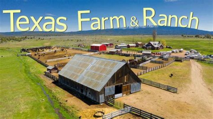 Why are raised ranches popular?