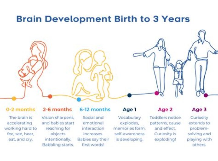 Why are the first 7 years of a child's life so important?