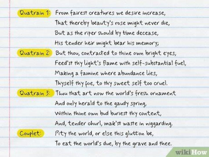 Why are the last two lines in brackets?