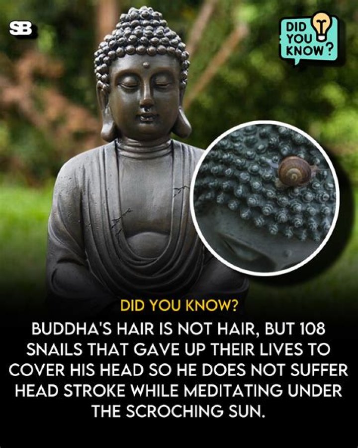 Why are there 108 snails on Buddha's head?