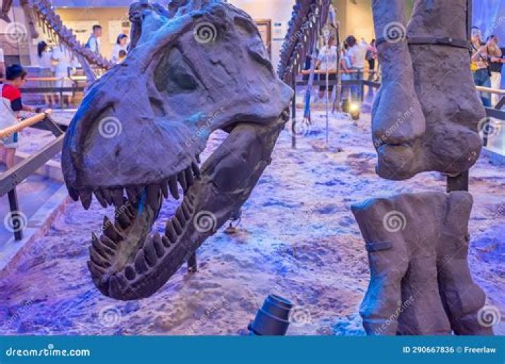 Why are there no skeletons in China?