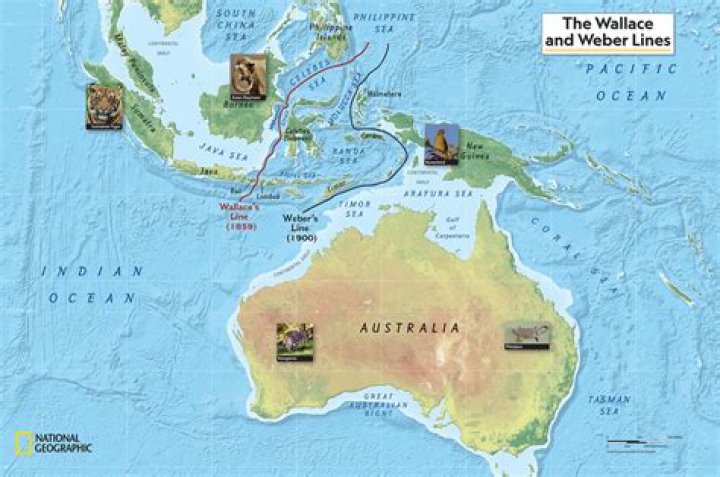 Why are there no trees in Iowa?