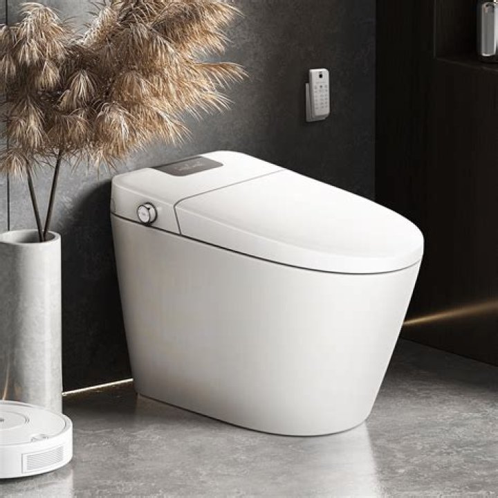 Why bidet is not used in North America?