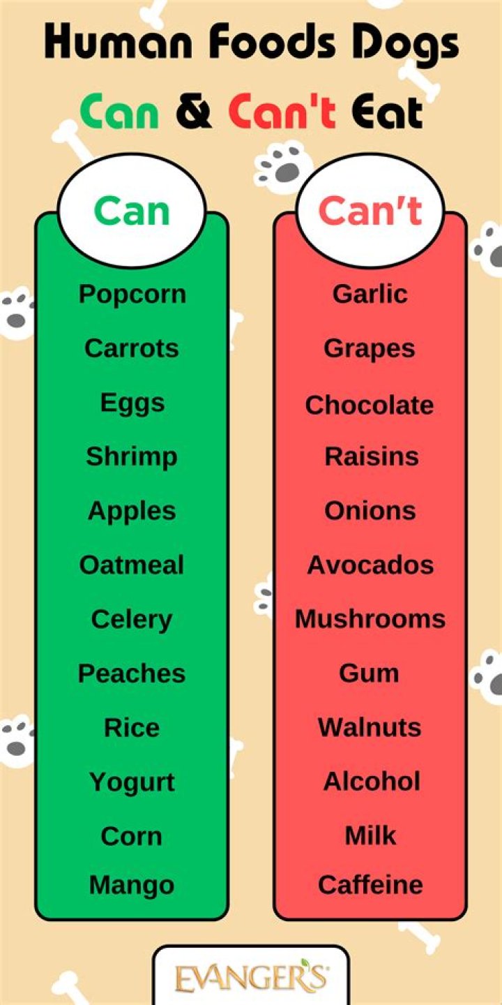 Why can humans eat grapes but dogs can t?