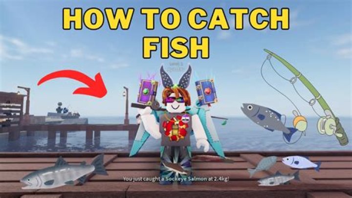 Why can't I catch a fish?