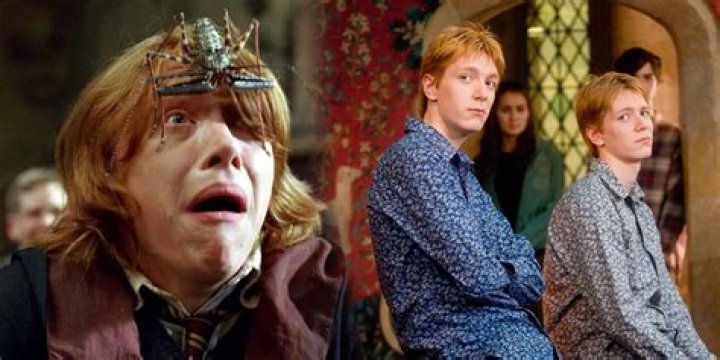 Why couldn't Harry live with Weasleys?