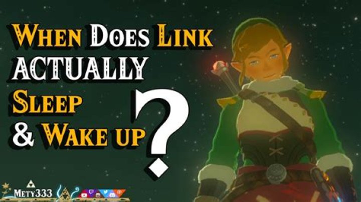 Why did Link fall asleep?