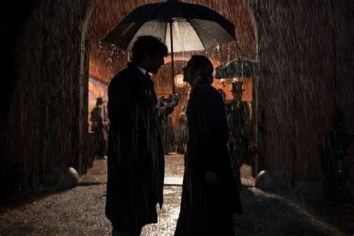 Why did Mr bhaer visit Jo after such a long time?