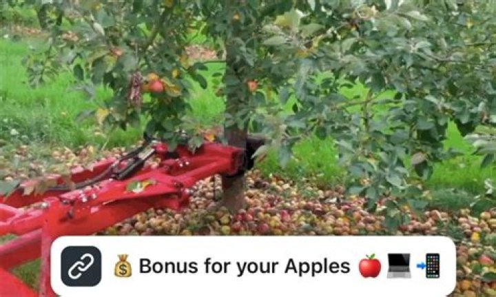 Why did the Apple 3 fail?