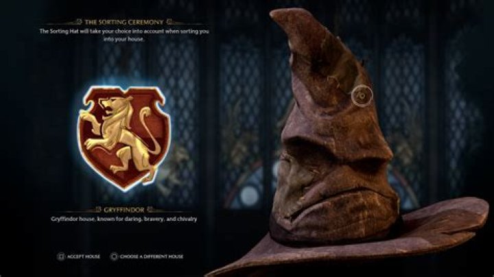 Why did the hat choose Gryffindor?