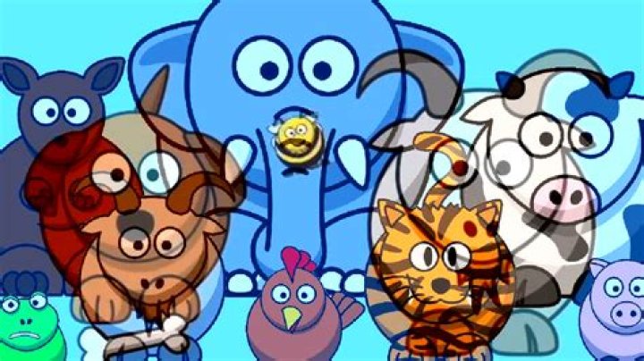 Why do animals fear fire?