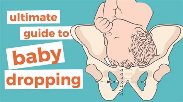 Why do babies drop pregnancy?