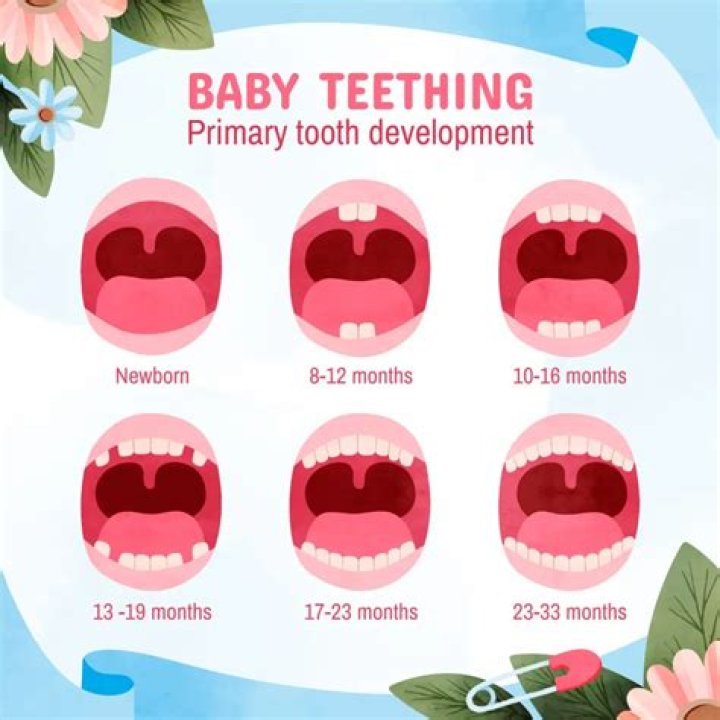 Why do babies get runny noses when teething?