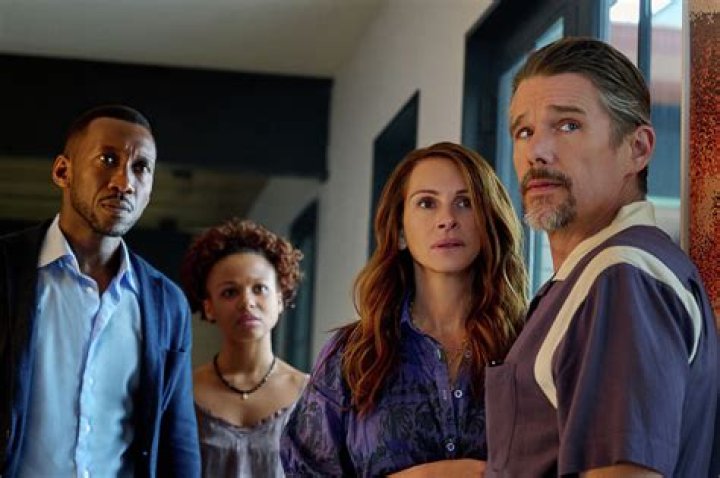 Why do bees crash into each other?