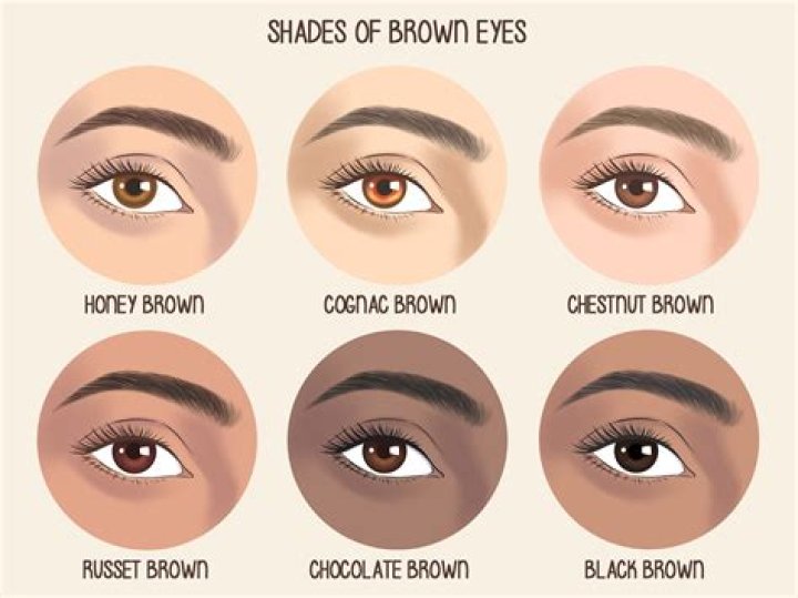 Why do brown eyes turn GREY with age?