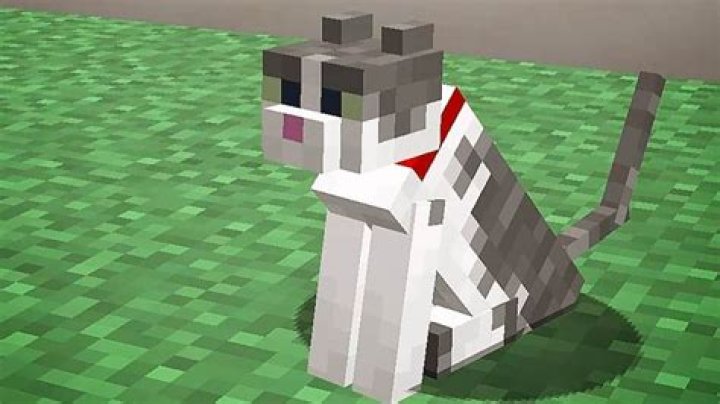 Why do cats in Minecraft sit on chests?