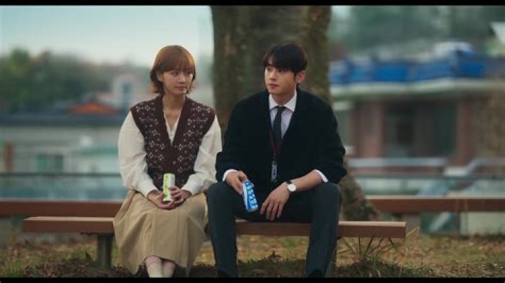 Why do dogs gravitate toward me?