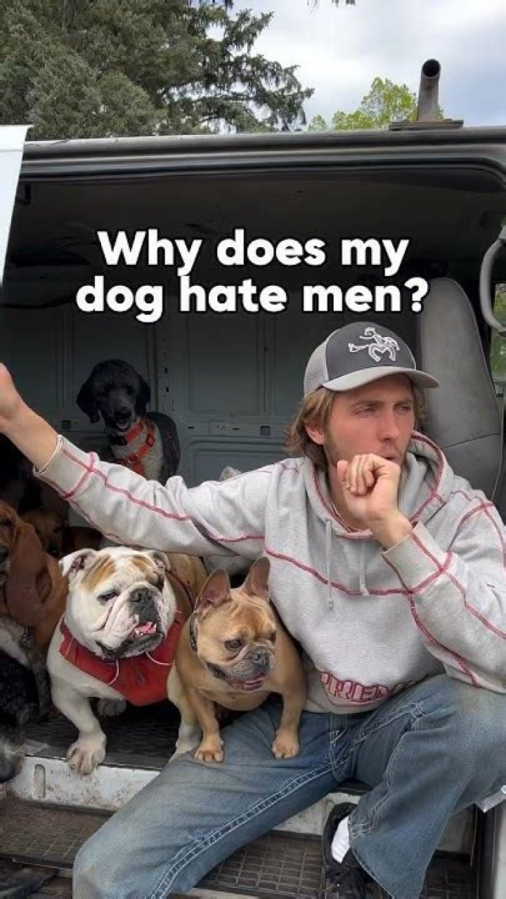 Why do dogs prefer females?
