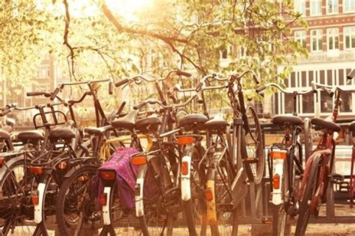 Why do Dutch cyclists not wear helmets?