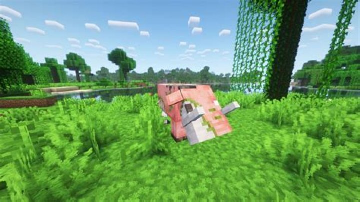 Why do Hoglins turn into Zoglins?