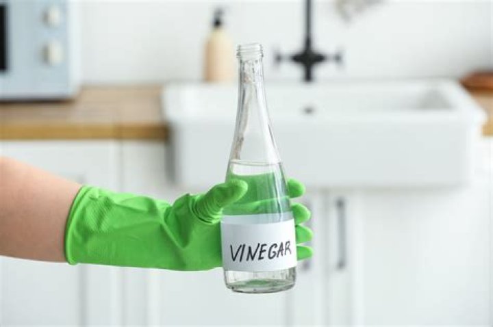 Why do hospitals clean with vinegar?