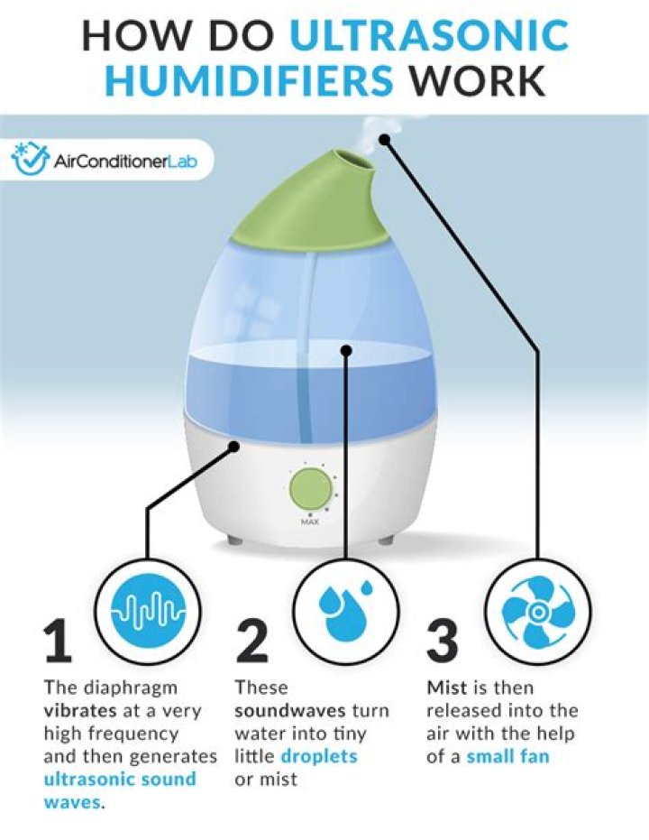 Why do humidifiers get moldy?