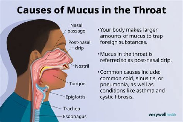 Why do I always have mucus in back of my throat?