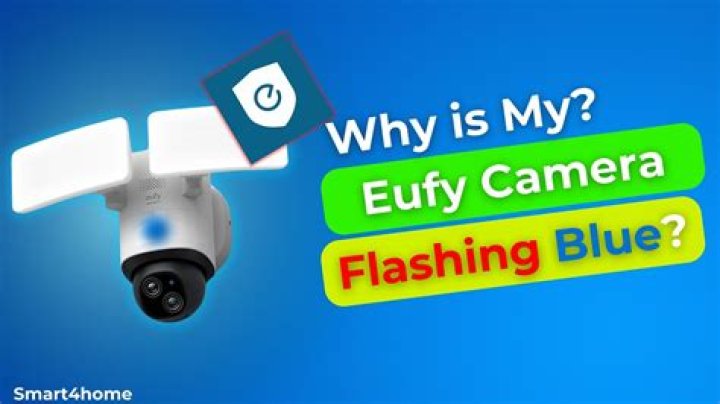 Why do I look blue on Zoom?