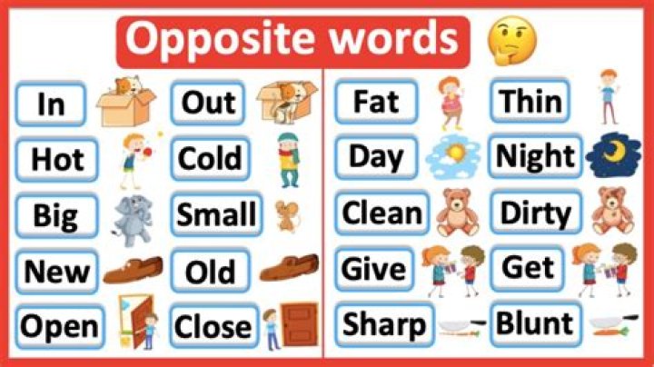 Why do I say the opposite word?