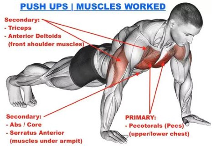 Why do my arms give out during push-ups?