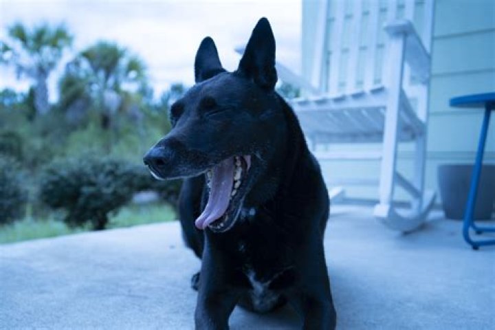 Why do my photos look hazy?