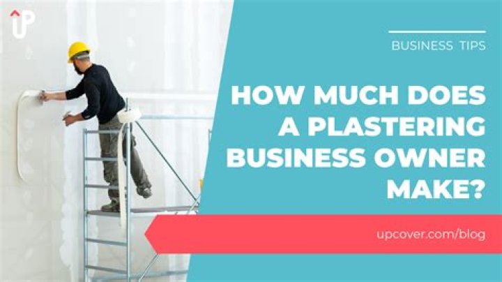 Why do plasterers mesh?