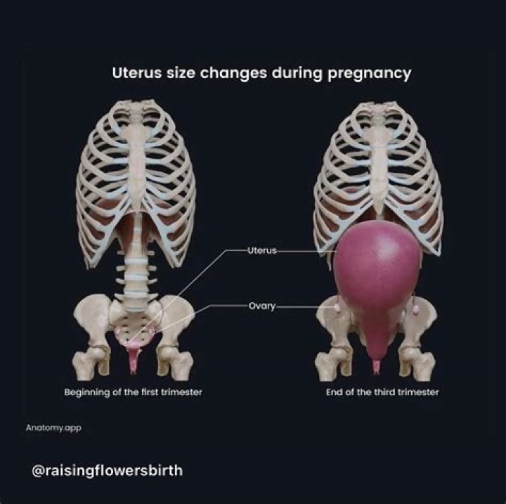 Why do they push on your uterus after birth?