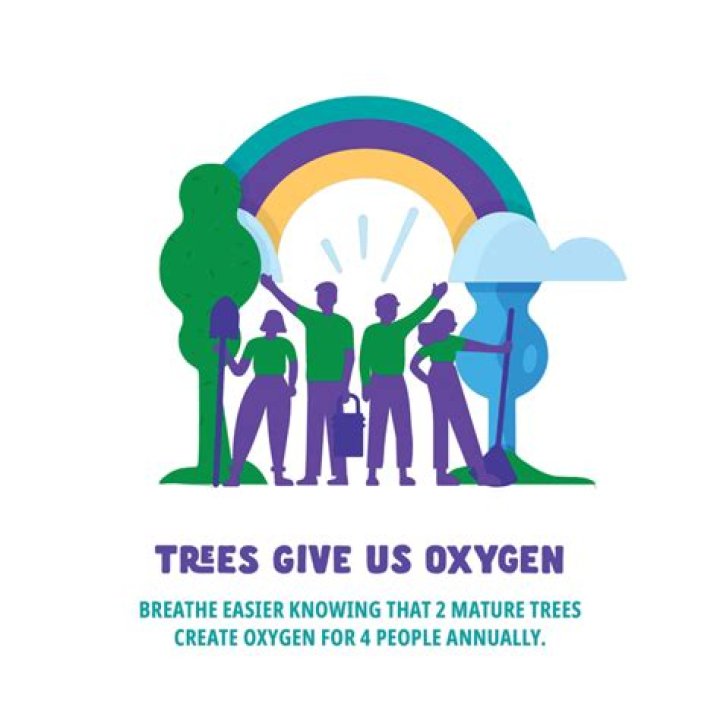 Why do trees give us oxygen?